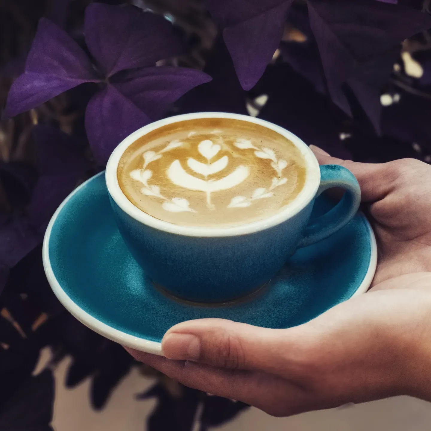 Taza de café de especialidad con leche y dibujo en la espuma en Little Society